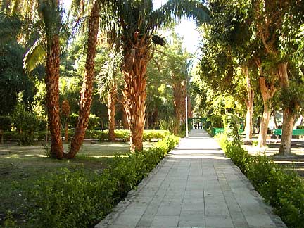 botanical garden