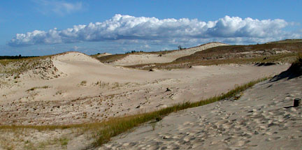 dunes