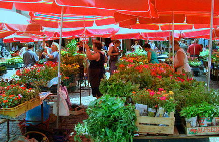 dolac market 