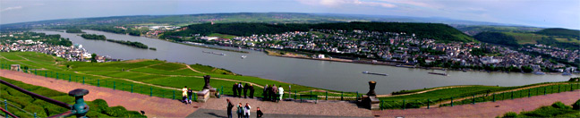 rheingau panorama