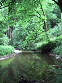 walk to eltz