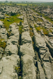 burren slab