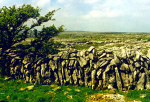 burren wall