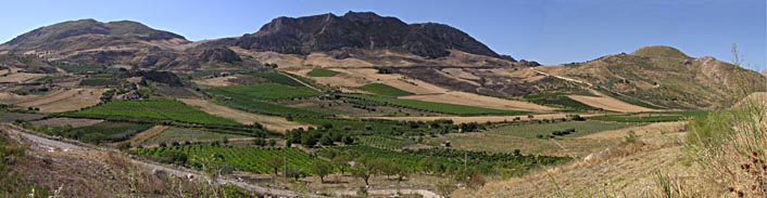 Farmland pano