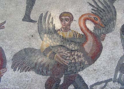 Man with bird