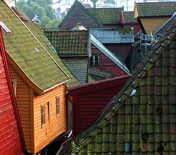 bryggen tenement roofs