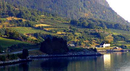 farming on sorfjorden