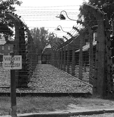 boundary fence