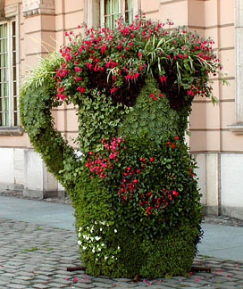 flower pitcher