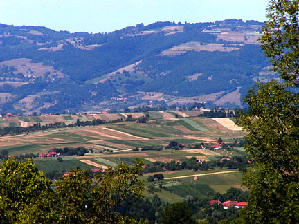 fields near oradea