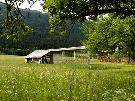 bohinj valley hay rack