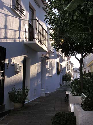 leafy street