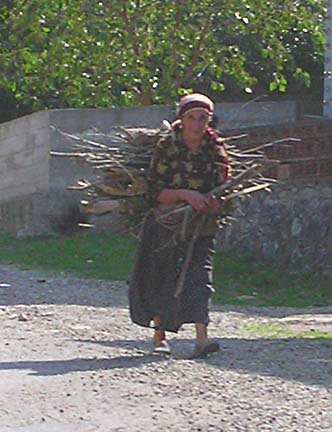 Woman with firewood