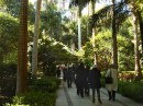 stroll in botanical garden * Inside the botanical garden, the shade of the trees provides a wonderful respite from the warm sun, even in winter. * 432 x 324 * (81KB)